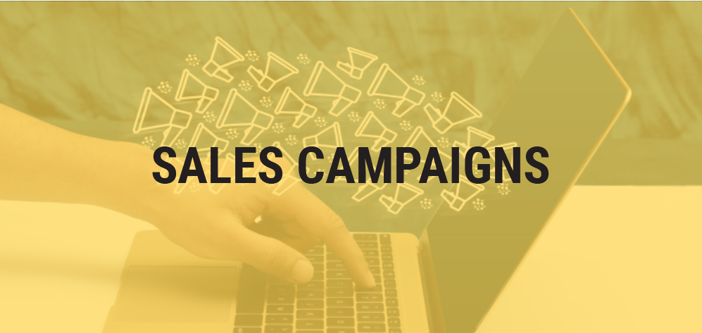 Advantages and Disadvantages of Sales Campaigns